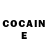 Cocaine Fish Scale Lina Tortorella