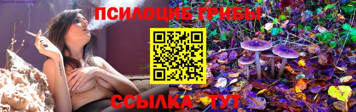 Галлюциногенные грибы прущие грибы  Псилоцибиновые грибы мухоморы  Канск  Вход с VPN 
