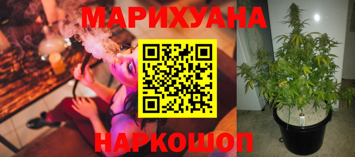 Бошки Шишки планчик Канск